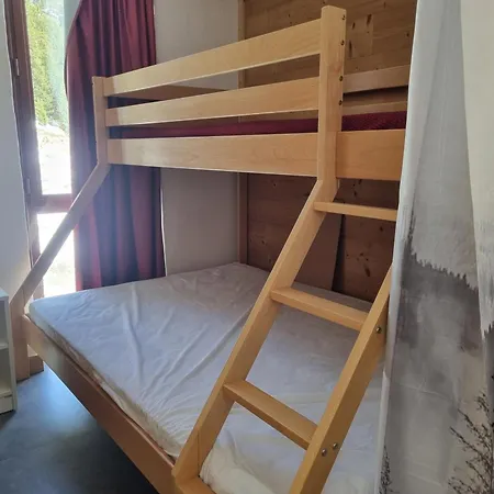 Apartamento Divisible Rénové, Proche Pistes Et Commerces, Animaux Acceptés - Fr-1-181-1009 La Plagne